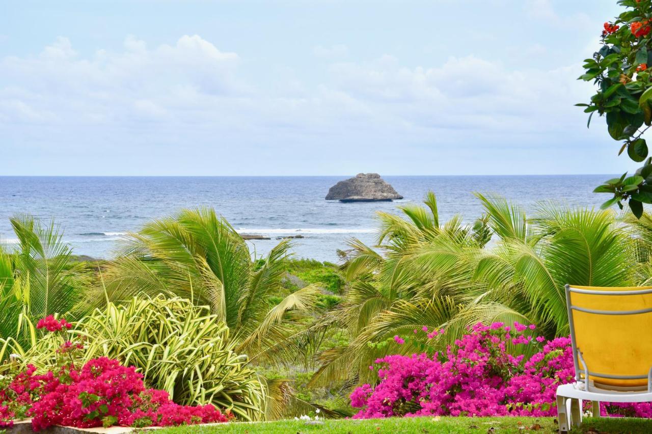 Villa Guadeloupe Saint Francois Acces Mer Piscine Iguana Bay - Villa Zagadi Exterior photo